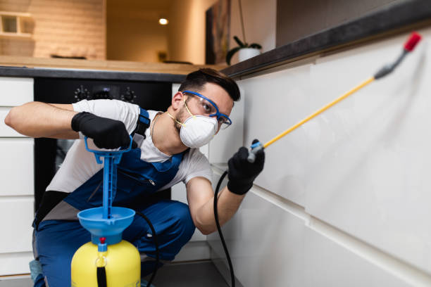 Wasp Removal Services in Fair Oaks, GA