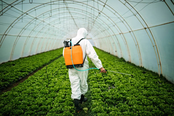 Best Affordable Pest Control Services  in Fair Oaks, GA