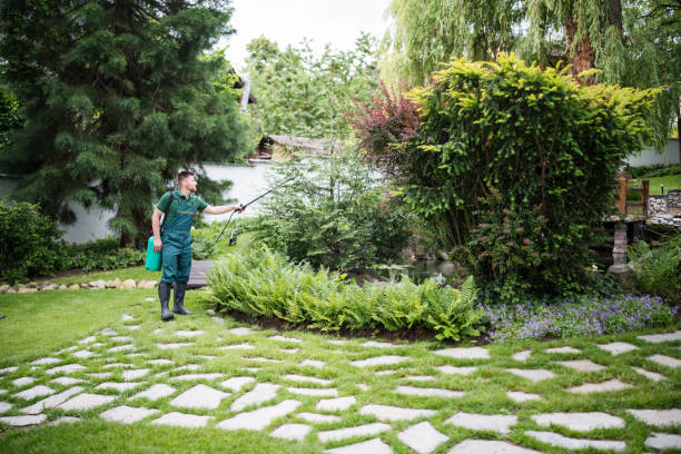 Best Pest Control Near Me  in Fair Oaks, GA