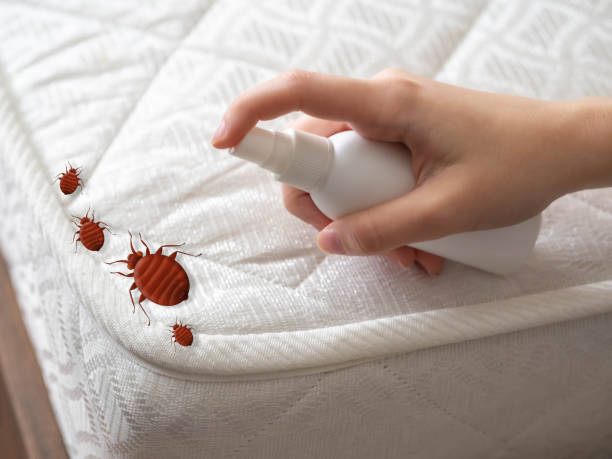 Pest Prevention Services in Fair Oaks, GA