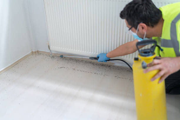 Best Ant Control Services  in Fair Oaks, GA