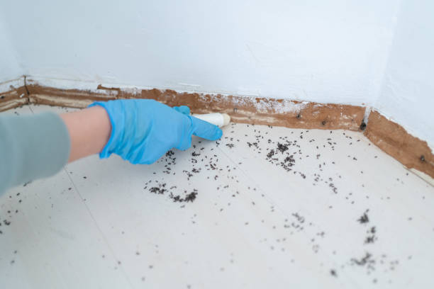 Best Termite Control Services  in Fair Oaks, GA